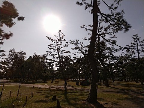 浜寺公園