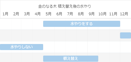 金のなる木 植え替え後の水やり