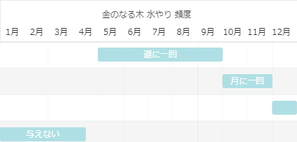 金のなる木 水やりの頻度