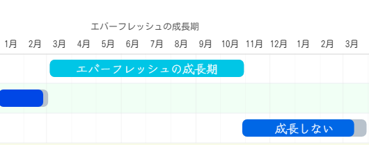 エバーフレッシュの成長期