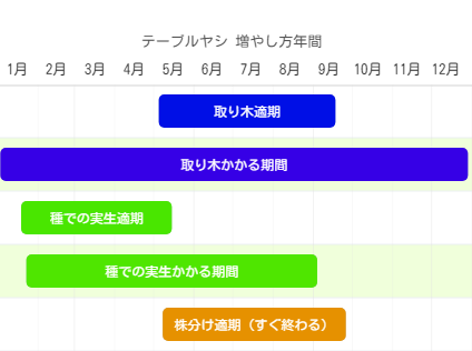 テーブルヤシ 増やし方年間