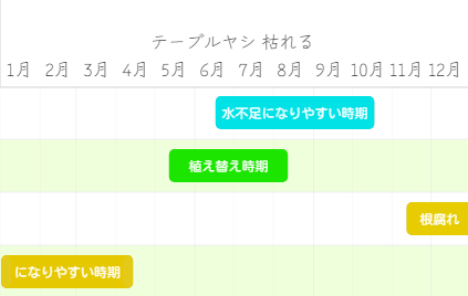 テーブルヤシ 枯れる 年間